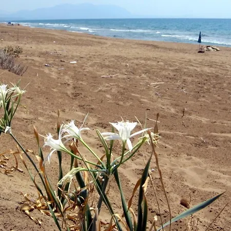 Lejlighed Asfodelos *