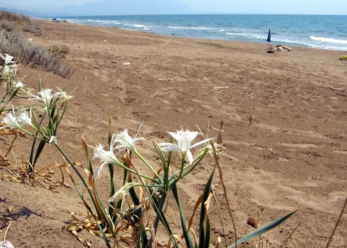 Apartamento Asfodelos *